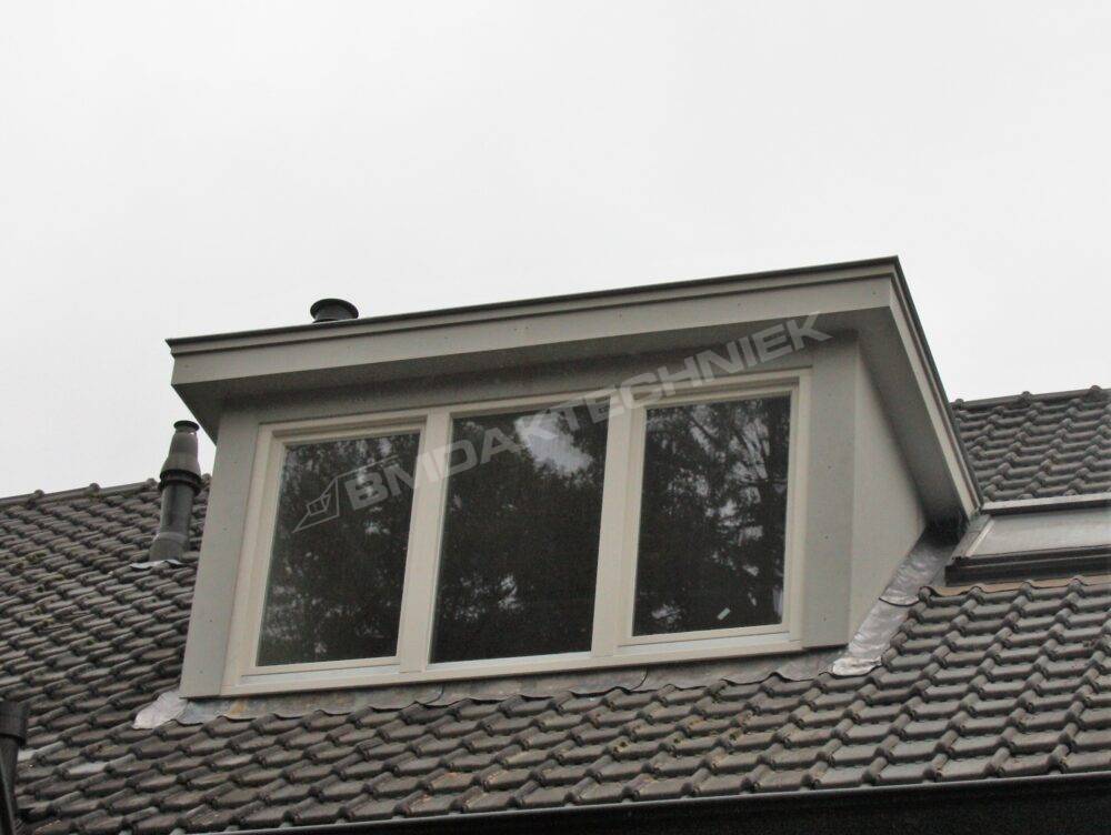 de Jong PROJECT