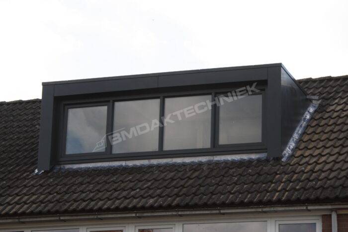 Wester 1